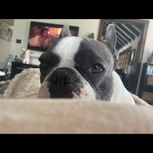 Meet your Posher, Christina